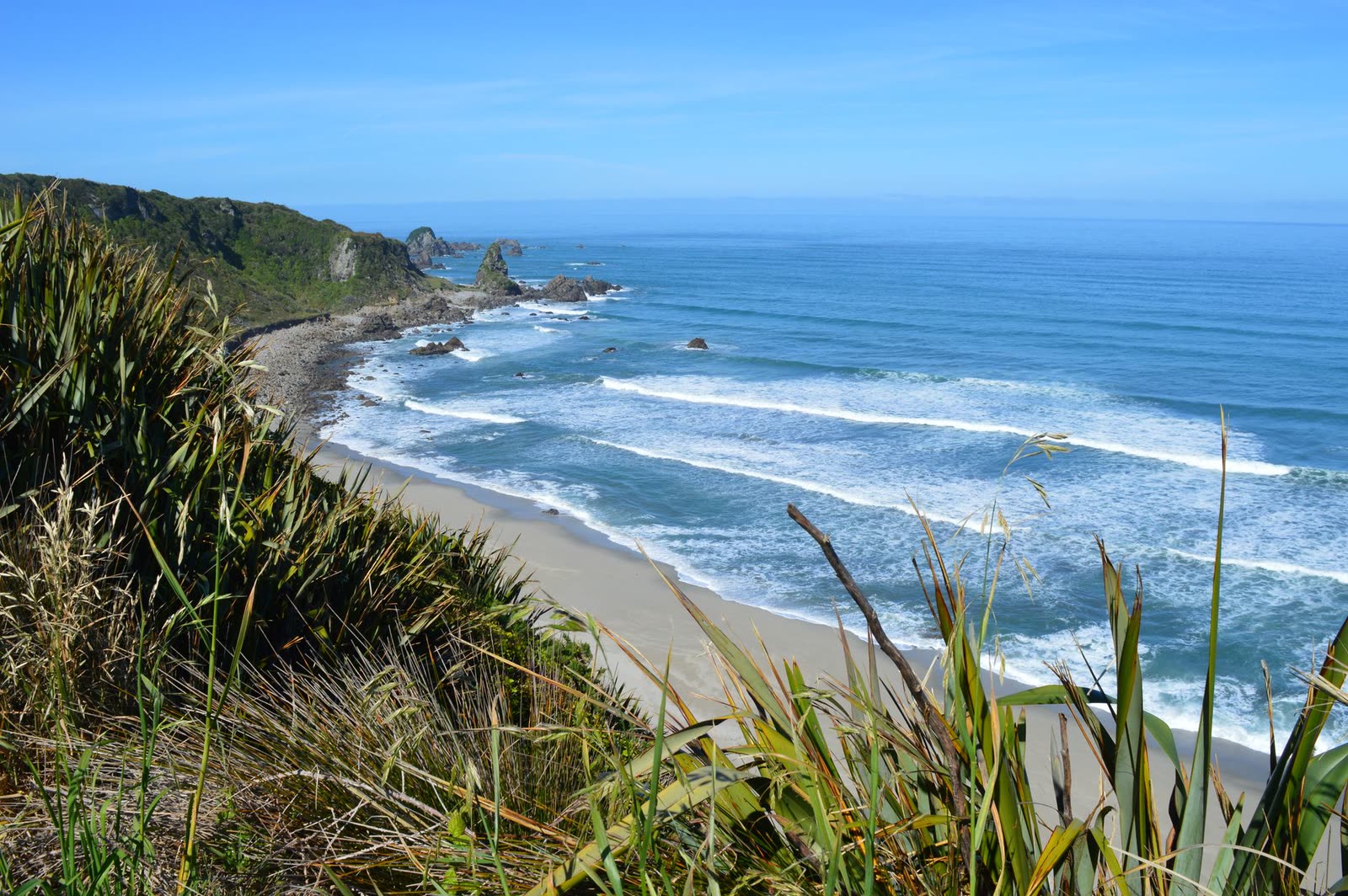 Native flax overlooking a long surf beach — the coastline of beach-town trades and stays